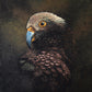 Kea - Lord of the Alps