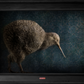 Kiwi No.4 - Edition 2/5