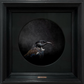 Tūī No.1 - Edition 3/5
