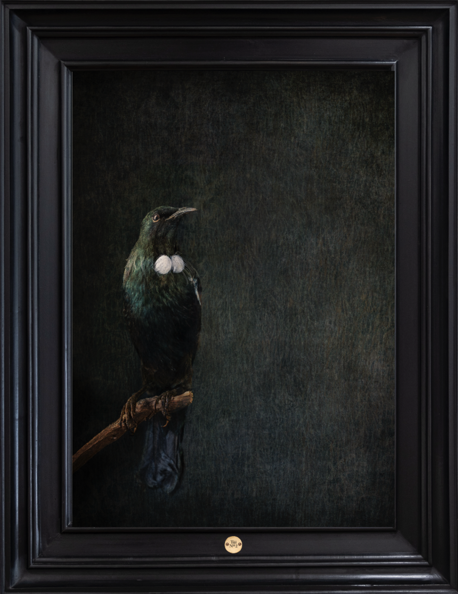 Tūī No.2 - Edition 5/5