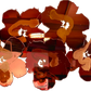 Flower Fields: Burnt Sienna, Sangria and Bordeaux