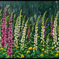Wild Foxgloves