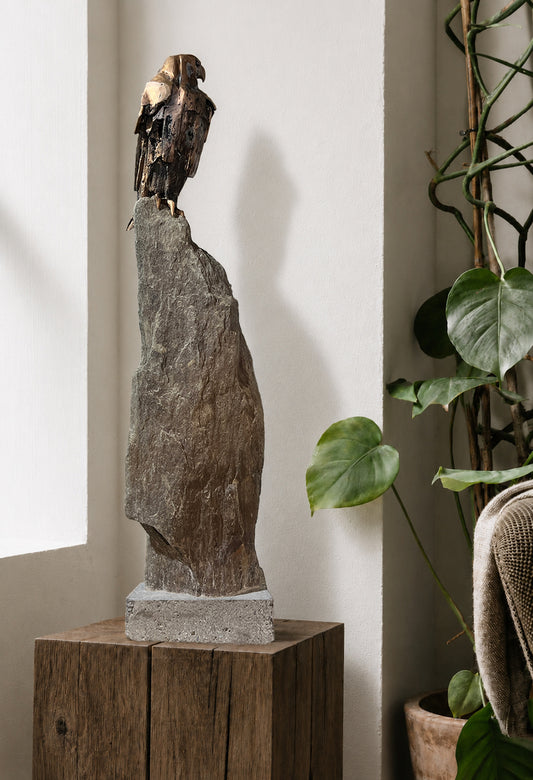 Falcon Study - Anticipation