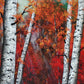Birches Bark, Autumn Study