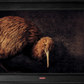 Kiwi No.2 - Edition 3/5