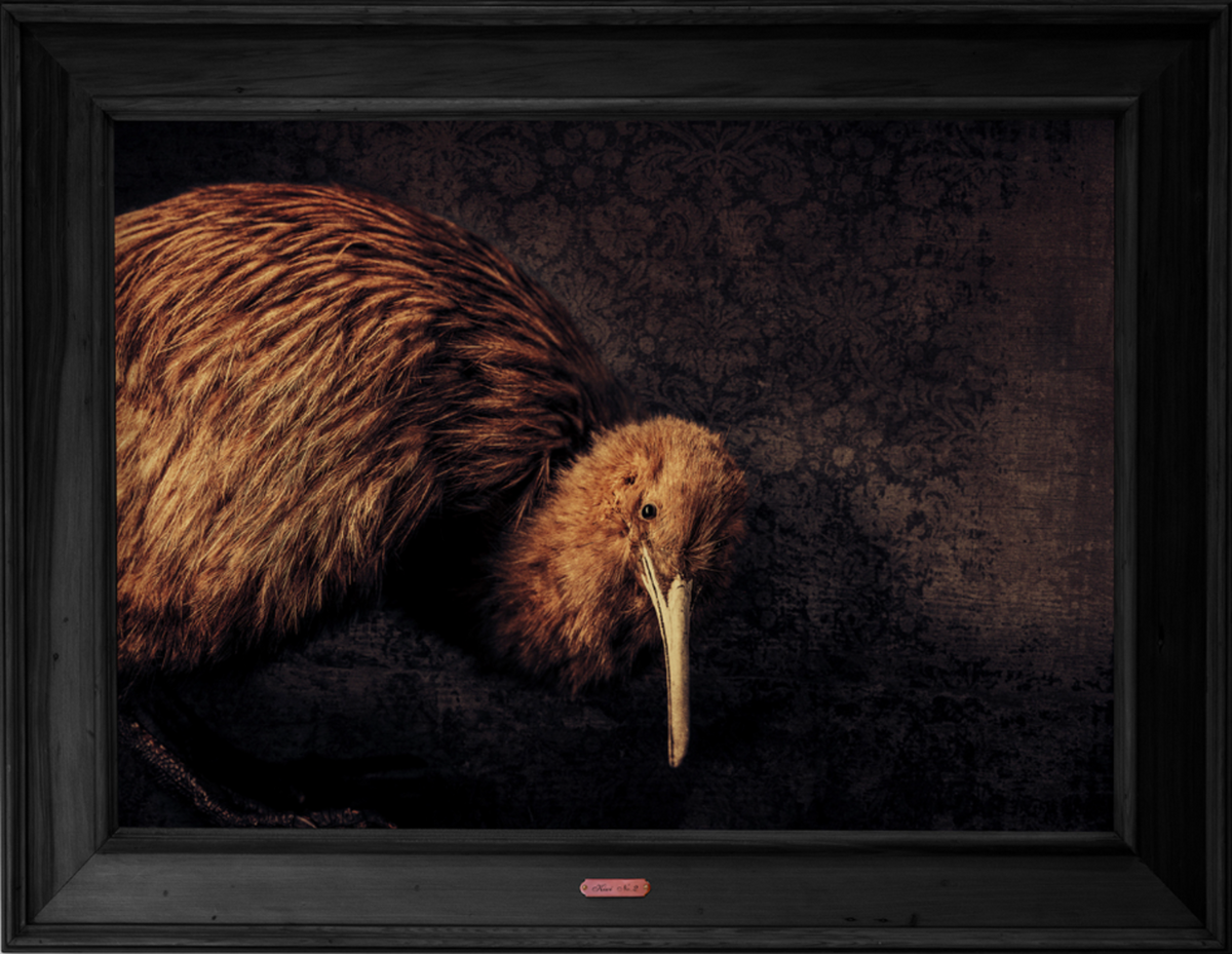 Kiwi No.2 - Edition 3/5
