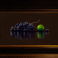 Lime With Grapes