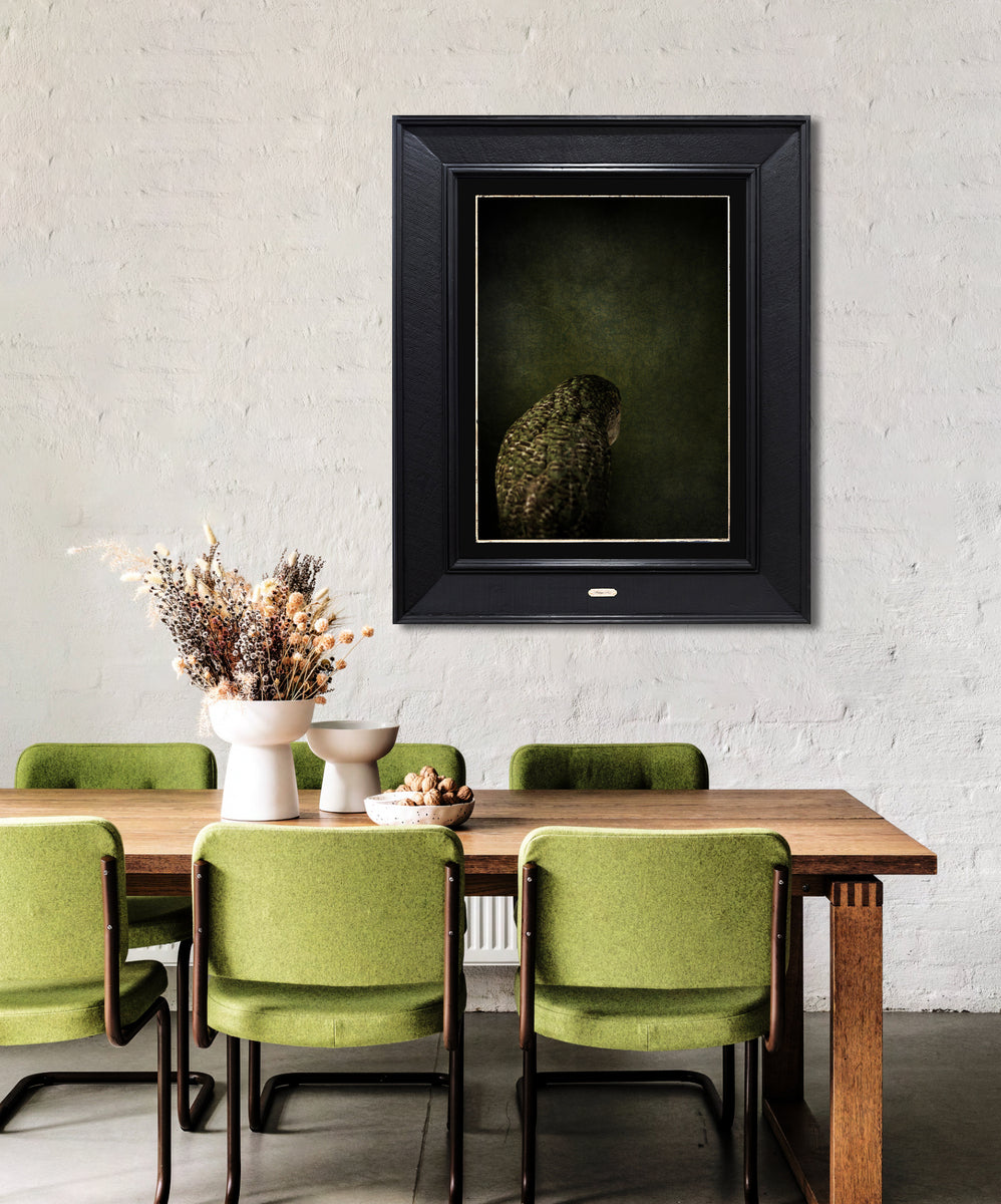 Kākāpō No.1 - Edition 4/5