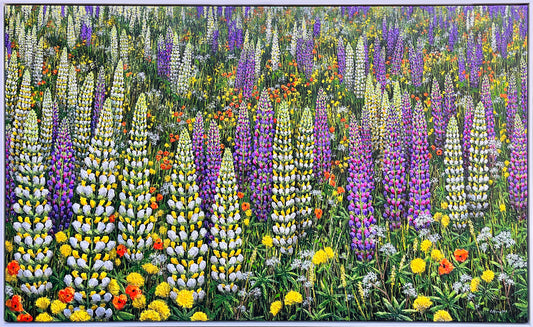 Lupins Twizel