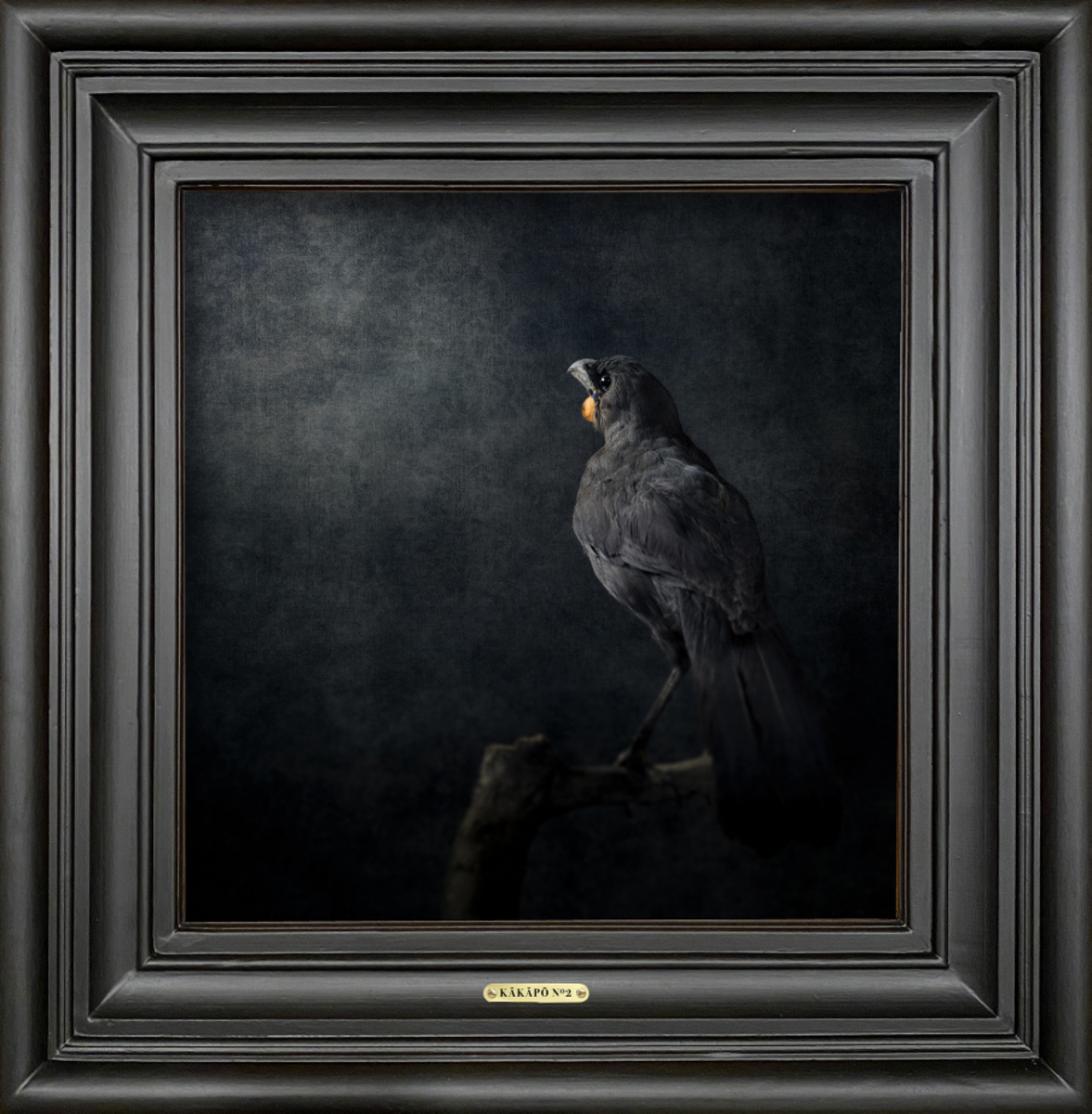 Kōkako No.2 - Edition 3/5