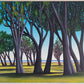 Beneath the Sacred Canopy No II