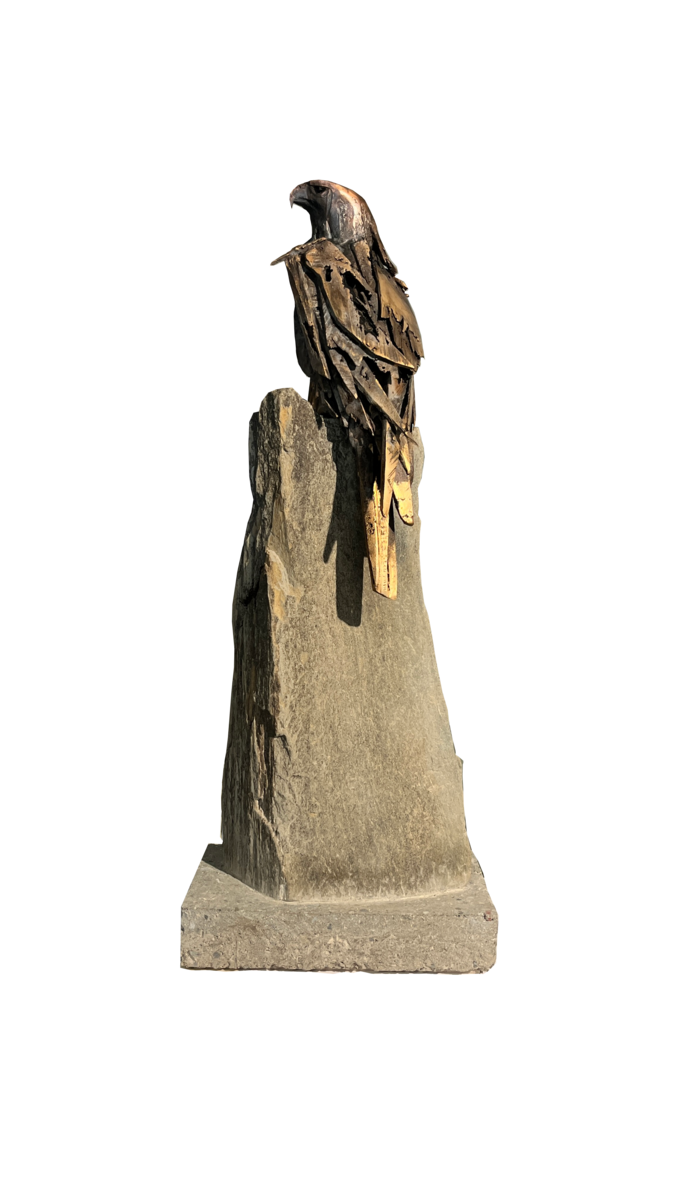 Falcon Study - Vigilance