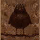Woodland Black Robin Grande Edition 1/5