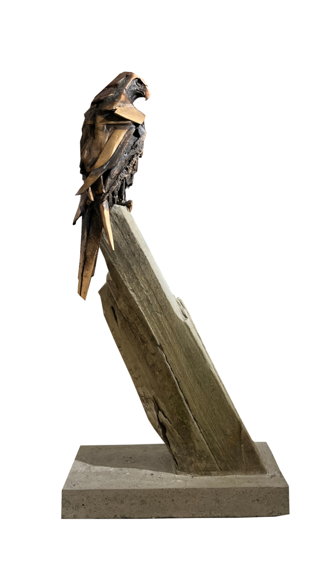 Falcon Study - Timing