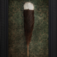 Huia No.7 - Edition 2/5
