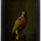 Kea No.1 - Edition 2/5