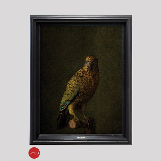 Kea No.1 - Edition 2/5