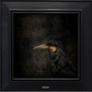 Huia - No.4