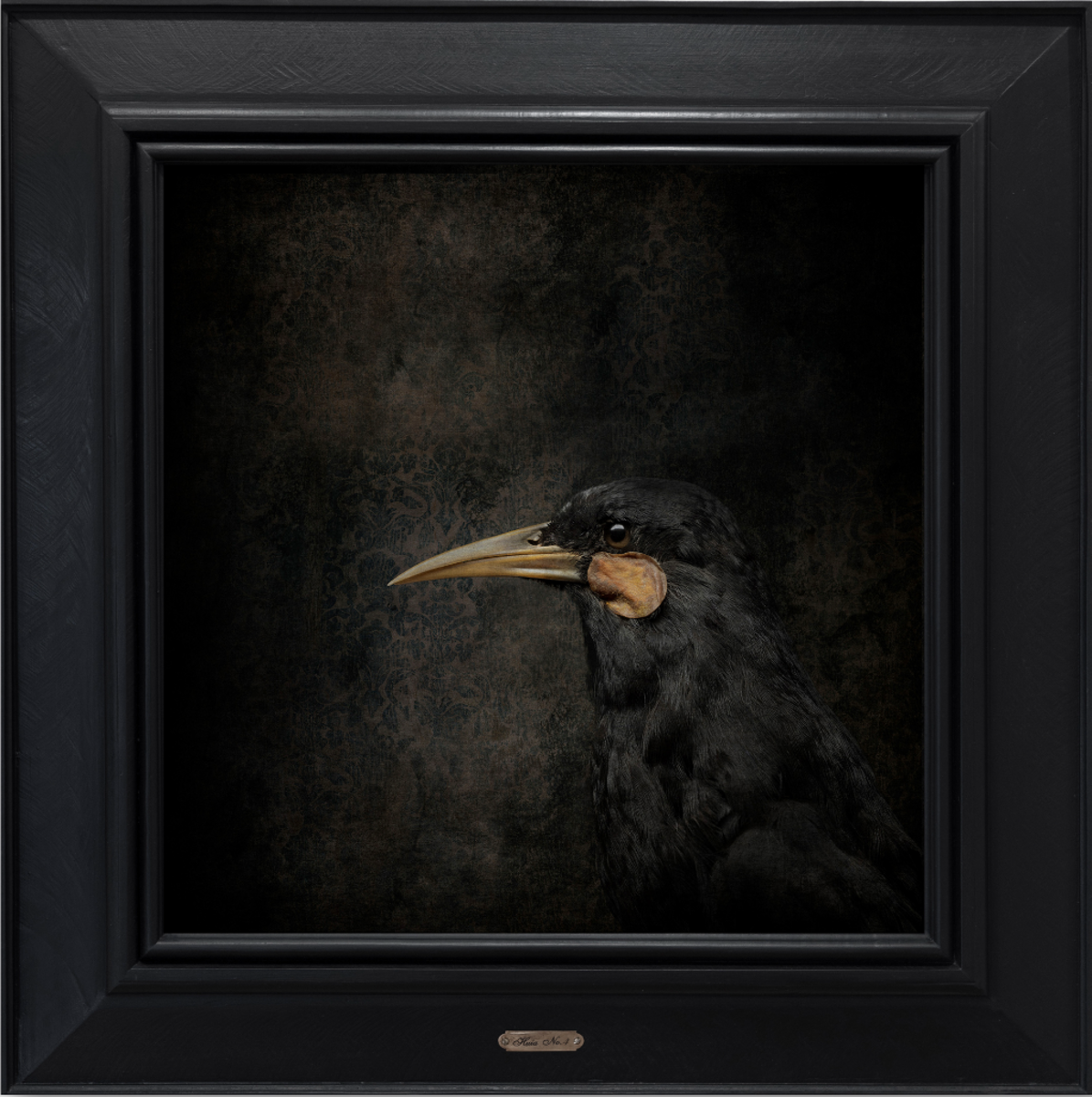 Huia - No.4