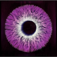 Iris 8