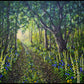 Woodland and Wildflowers