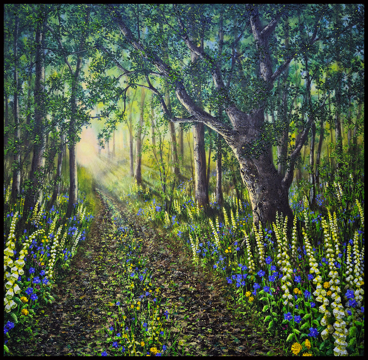 Woodland and Wildflowers