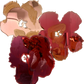 Flowers From Andy: in Soft Rosewater, Sugar Bloom & Velvet Berry