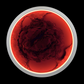 Fire Womb