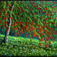Bottlebrush Tree