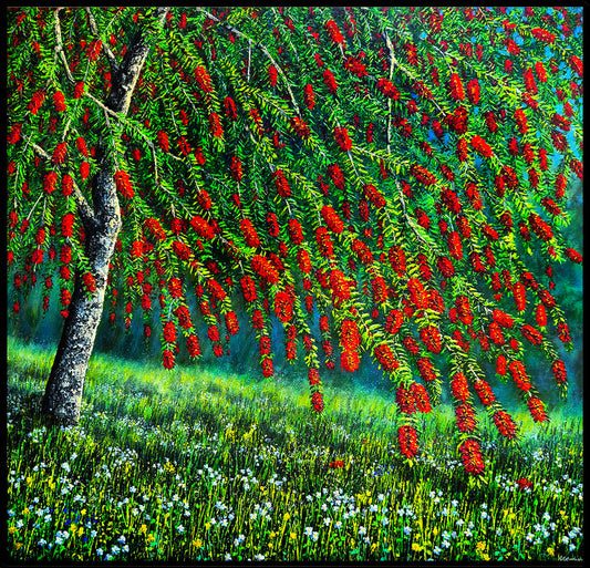 Bottlebrush Tree