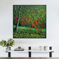 Bottlebrush Tree