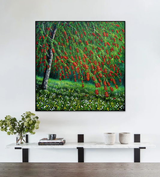 Bottlebrush Tree