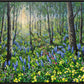 Primroses