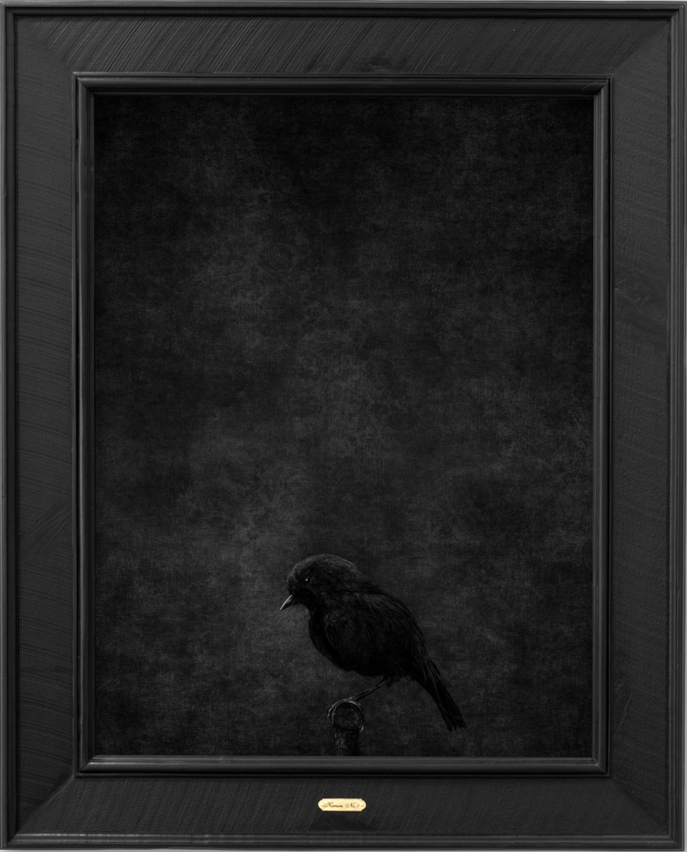 Kārure  - No.1 - Edition 3/5