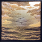 Golden Drift