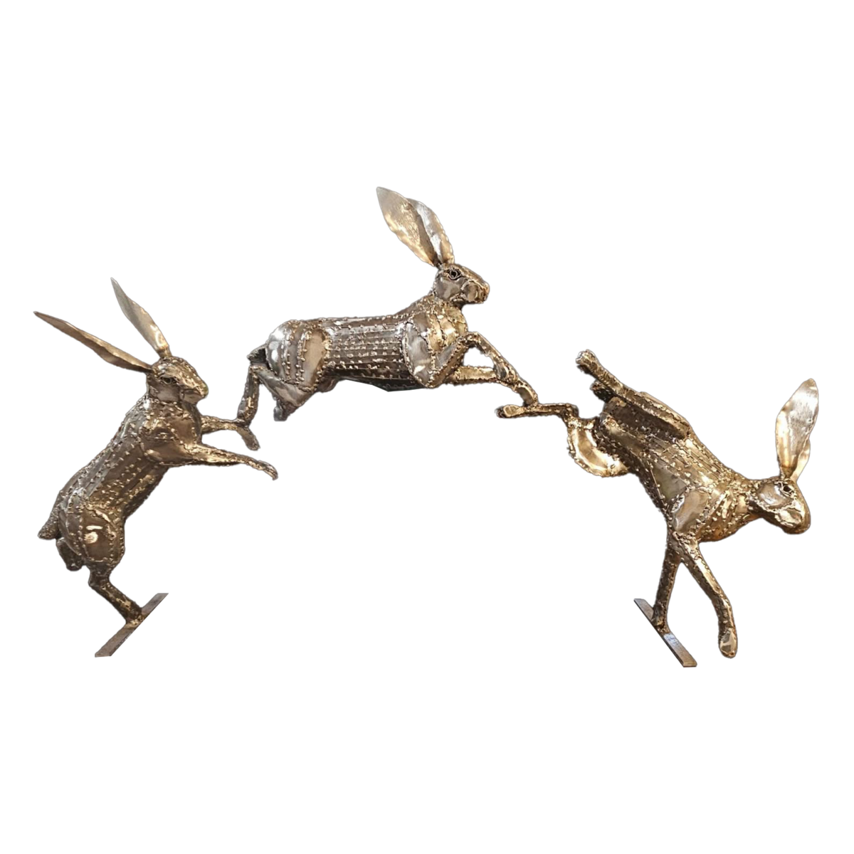 Spring Hares