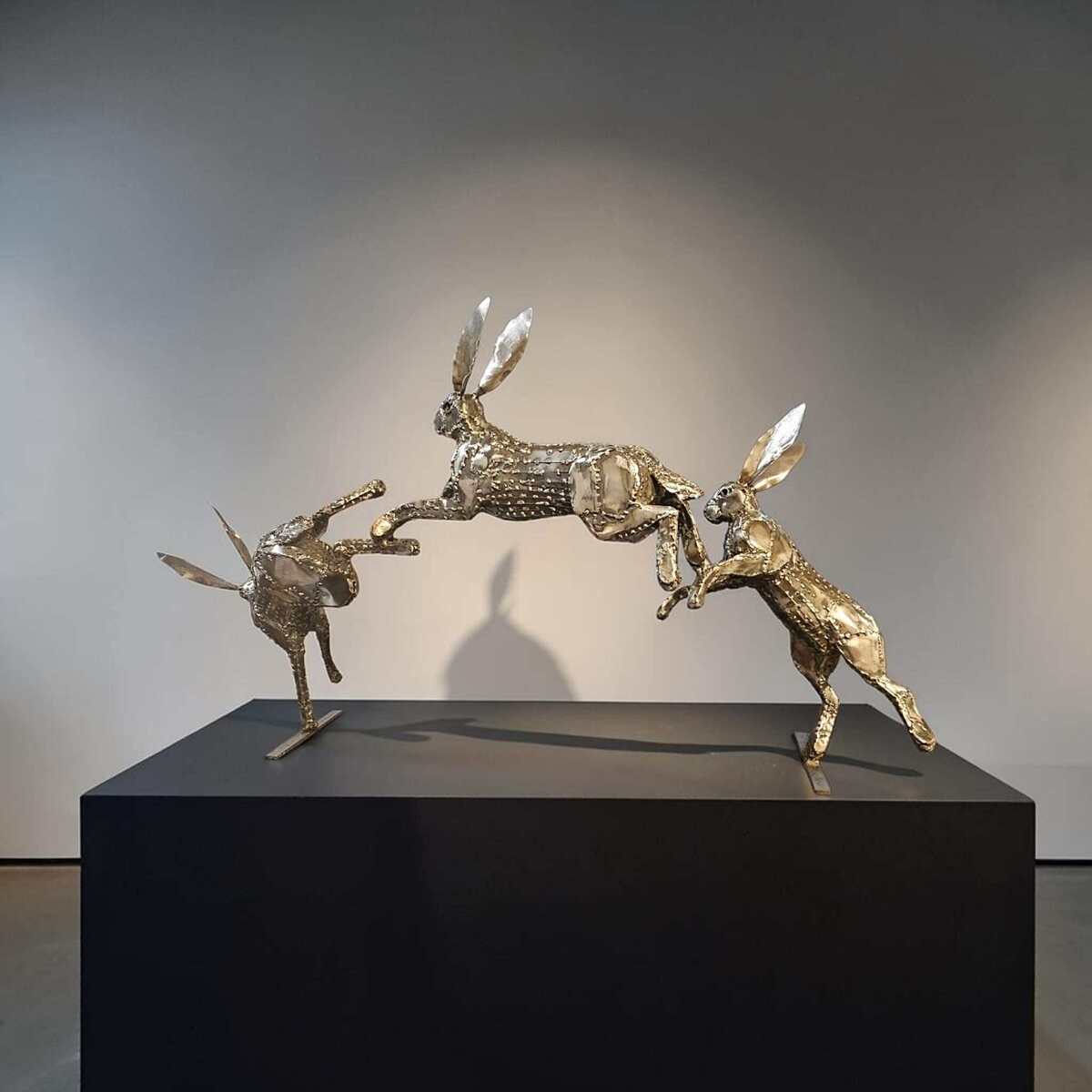 Spring Hares