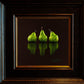 Three Packham Pears