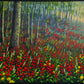Splendens in the Meadow