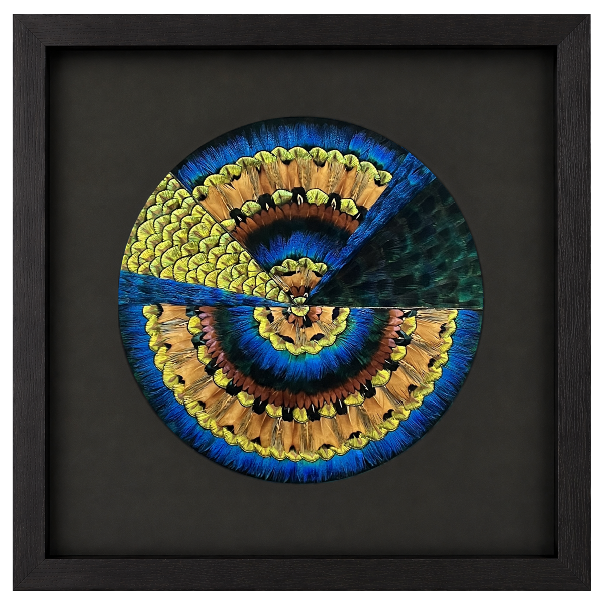 GE Mandala Coherence