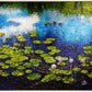 The Honeymooners’ Bed - Water Lillies