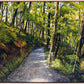 Summer Routeburn Loop Track