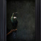 Tūī No.2 - Edition 3/5