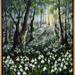 Morning Snowdrops