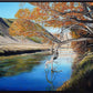 The Ahuriri River II