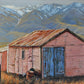 Southern Shed