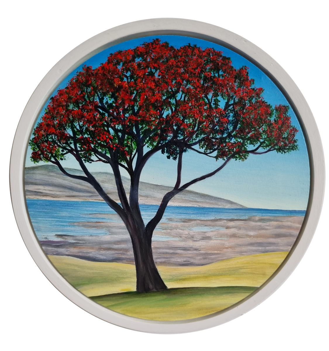 Full Bloom Coastal Pohutukawa Nov - Dec II