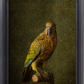 Kea No.1 - Edition 4/5