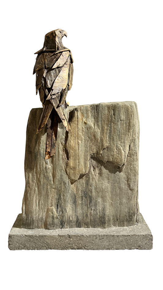 Falcon Study - Courage