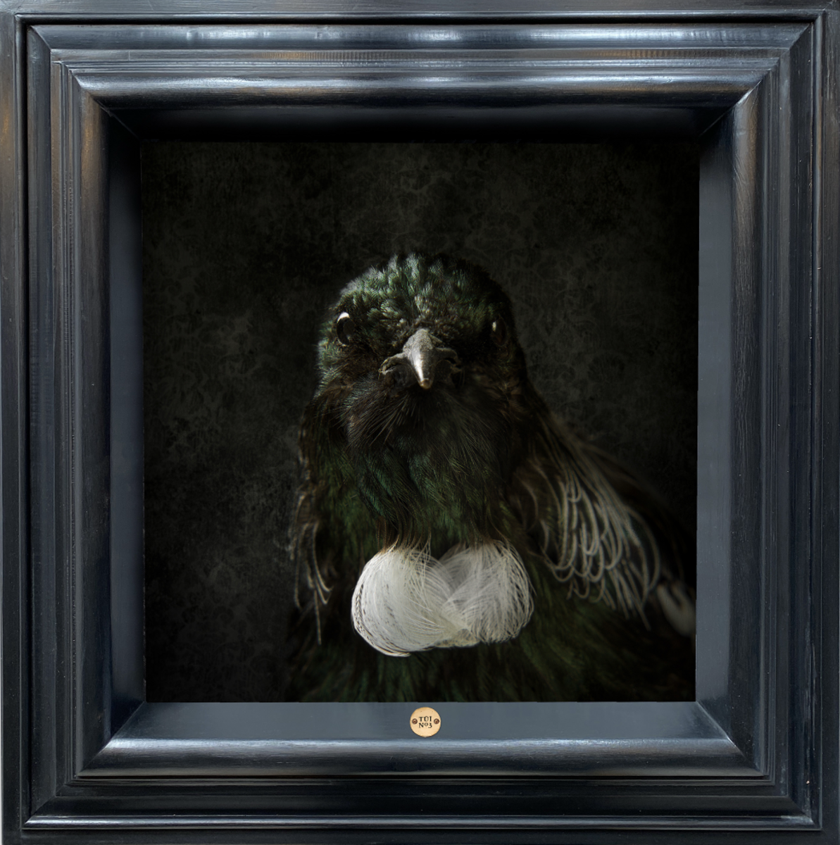 Tūī No.3 - Edition 4/5